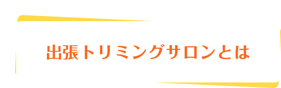 出張トリミングサロンとは